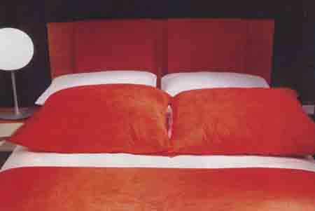 不倦的行走張寶華訪談