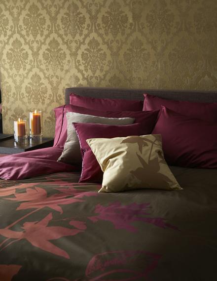 ����z�֡���LAN���Ҿ��OӋ��ِ