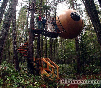 ������˼�������w�Ƅӷ���