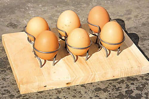 ��һȺ�����u��������