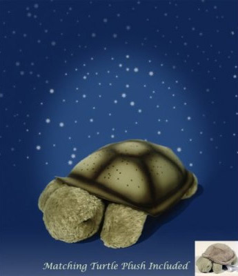 ����ɐ�(��i)�İl(f��)�������