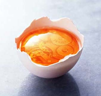 �õ������������Ҿ��Ʒ