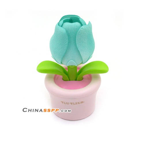 令你心動的可愛陽光Q盆栽