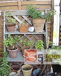 ���fů��֮�ú��L������С��