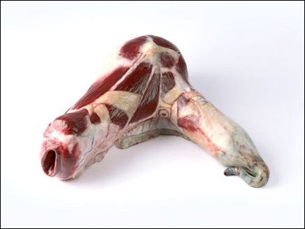 有才!豬肉做的家居用品