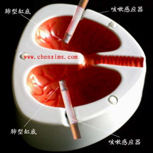 �����o����������Ҹ�