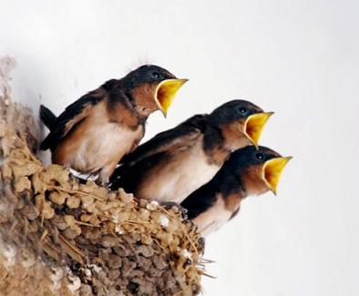 ���I�ؿ�ʮ�󽛵�Ҫ�E