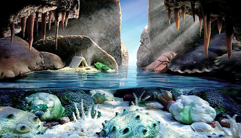 �߲�ʳƷ�ĳ��@�Gˇ�g(sh��)����