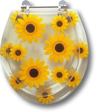 �RͰ�w�󼯺Ͽɐ�or�֮�