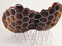 �����ɳ�l(f��)��đ������