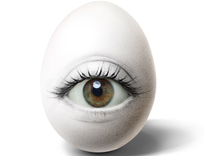 ���᣺�u��������Ʒ���p