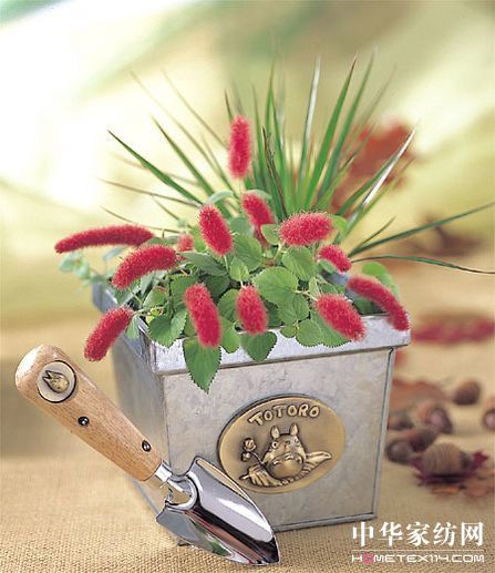 �m����Ӯ����辰