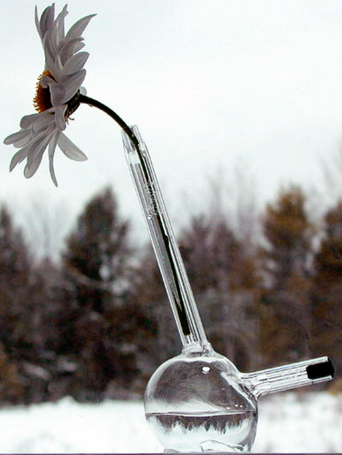 ���жU���L���Ψ����ƿ