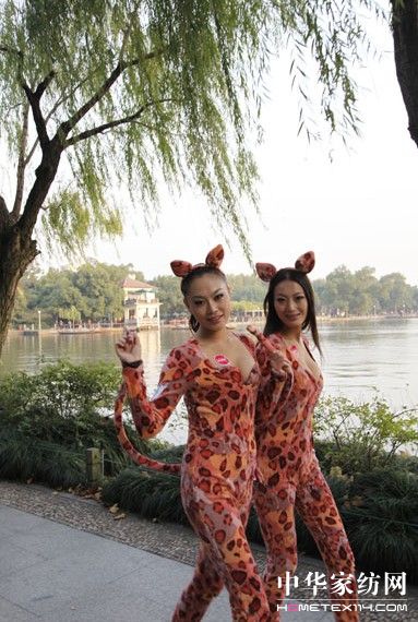 豹女郎高調(diào)現(xiàn)身主推維科新品