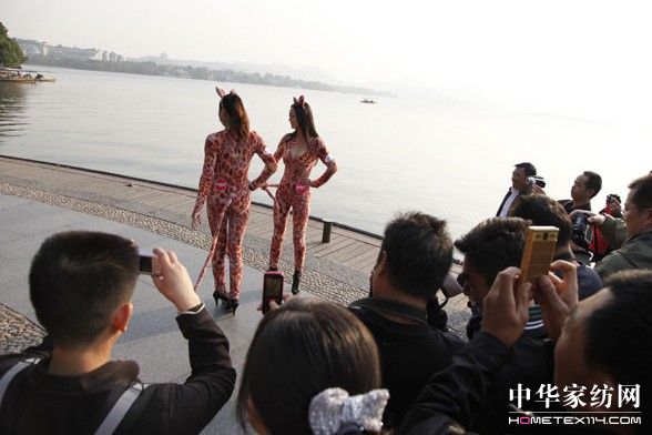 豹女郎高調(diào)現(xiàn)身主推維科新品