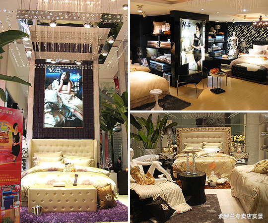 紫羅蘭15年星耀合肥慶典盛大舉行