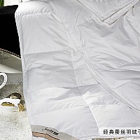 �����Q�z��q��ĸ��