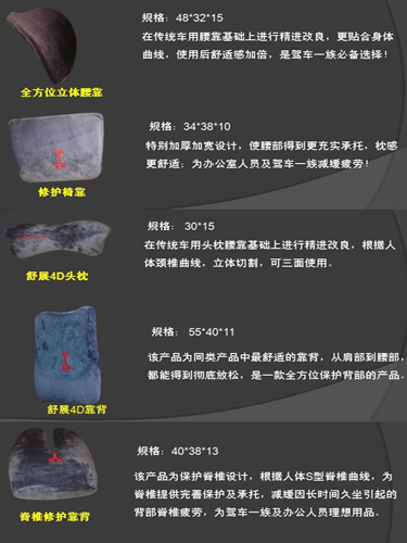 諾伊曼車旅系列全面上市