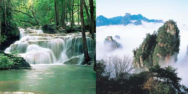 蝶依斕員工游覽張家界