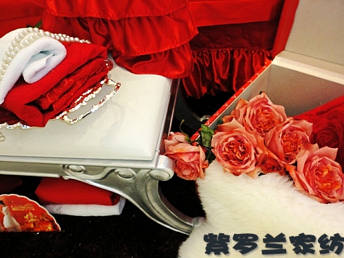 紫羅蘭品牌 極致璀璨細節