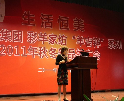 達達創遠為彩羊家紡進行企業內訓