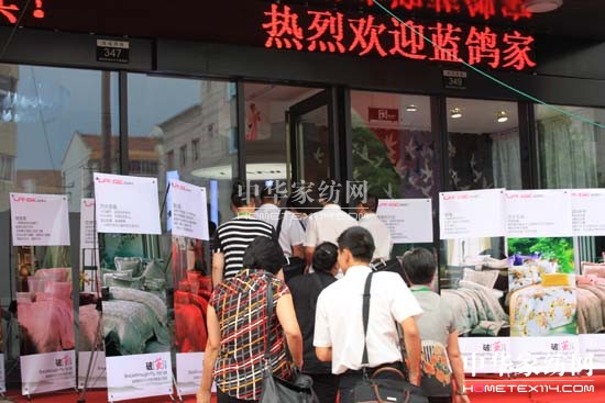 大地飛鴿破繭2011