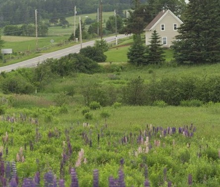 寶縵家紡:十一出游完美攻略