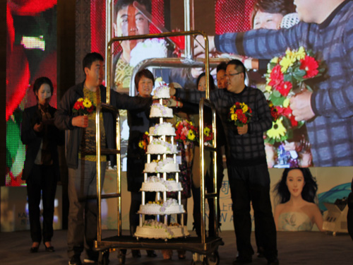 �Pʢ���{�{paisley��׌�����v�w