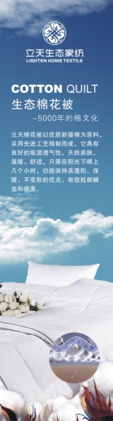 立天生態棉花被隆重上市