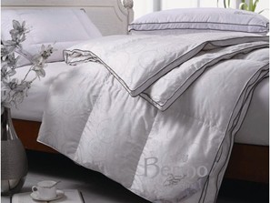 羽絨被保養秘笈