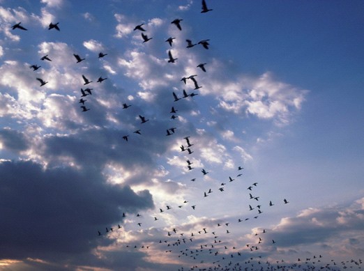 �ѻ��Ҽ�����������Փ���F꠾���