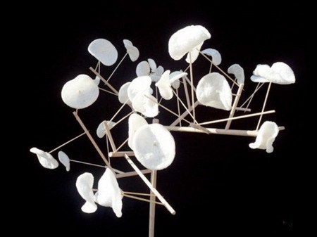 �������͵����wˮ���P