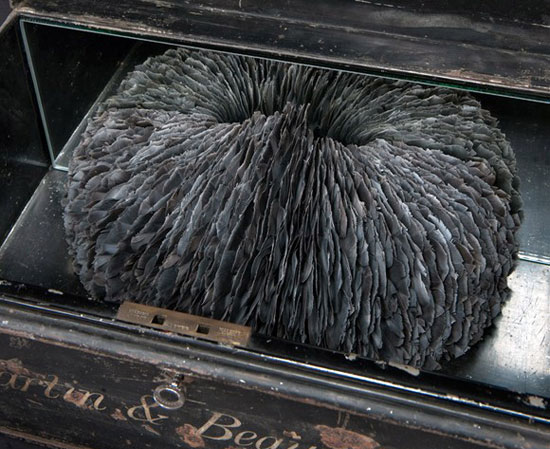 �������}����ϵ����ë����