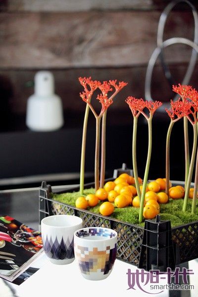 �߹���ɼҾ��Ʒ