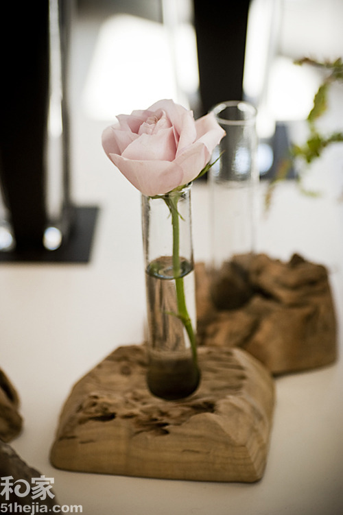 �ؚw��Ȼ��ľ���͵��b���(һ)