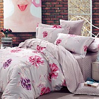 ��ɫ����