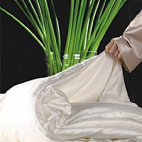 ��z���w�Q�z��