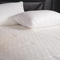 ������q�ı���