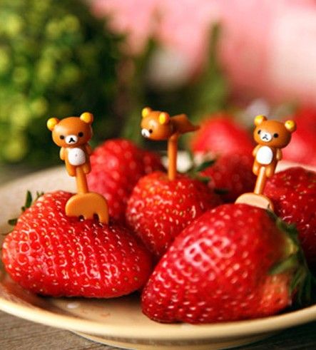 讓家多點(diǎn)萌物多點(diǎn)心情