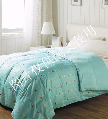 加盟艾萊依家紡,開啟致富新航線