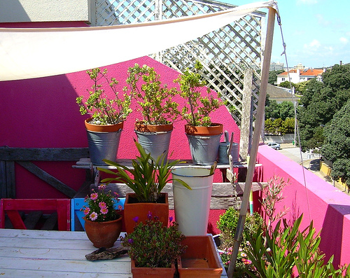 ����:ɫ���L(f��ng)���đ���֮��(��)