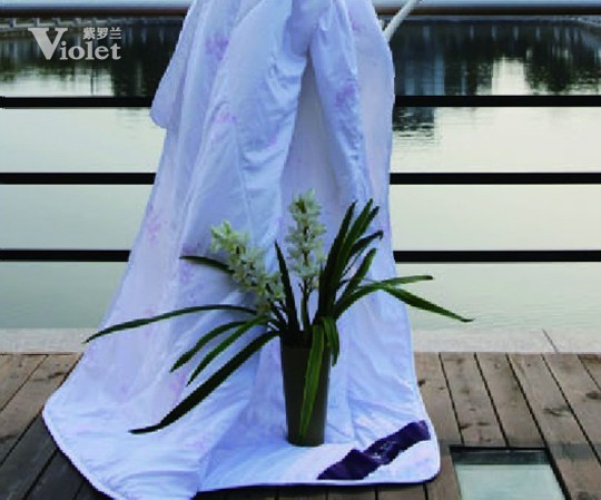 有家有愛(ài)有紫羅蘭