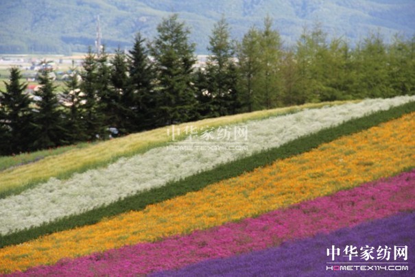 ����Ҽ���푡����ڲ��󣬑��ϱ����������������