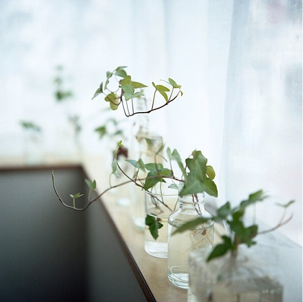 浮華里的安然文藝青年的別致生活