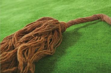 ֲ���Ե�̺׌��Ȼס���