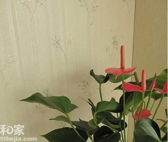 15���黨�ڼ��w���ˬ��@�L(��)