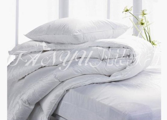 ���Z�Ҽ������x�桰о