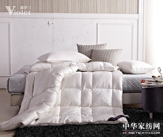 秋雨飄落細數紫羅蘭的點滴過往