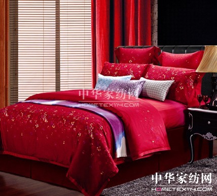 藍(lán)絲羽為新年添色彩