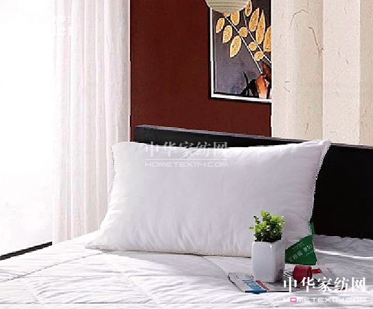 梅雪奇景紫羅蘭與你冬日盡享